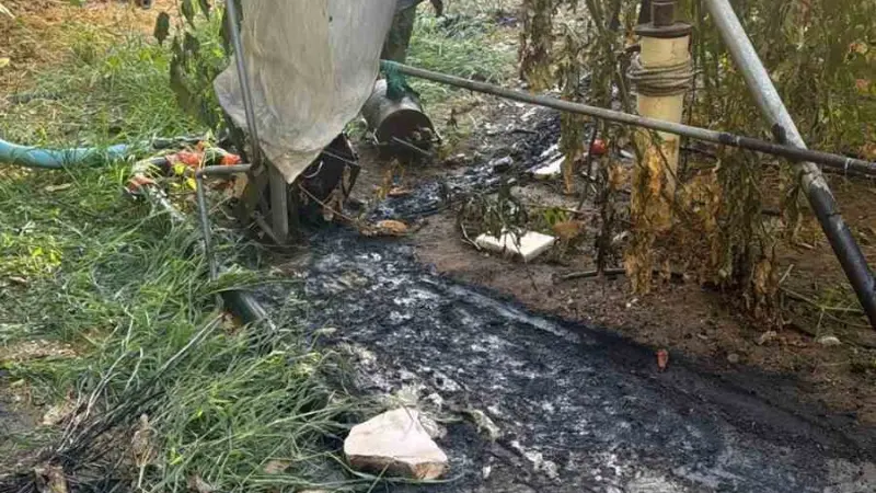 Bilecik’te çalılık yangını büyümeden söndürüldü