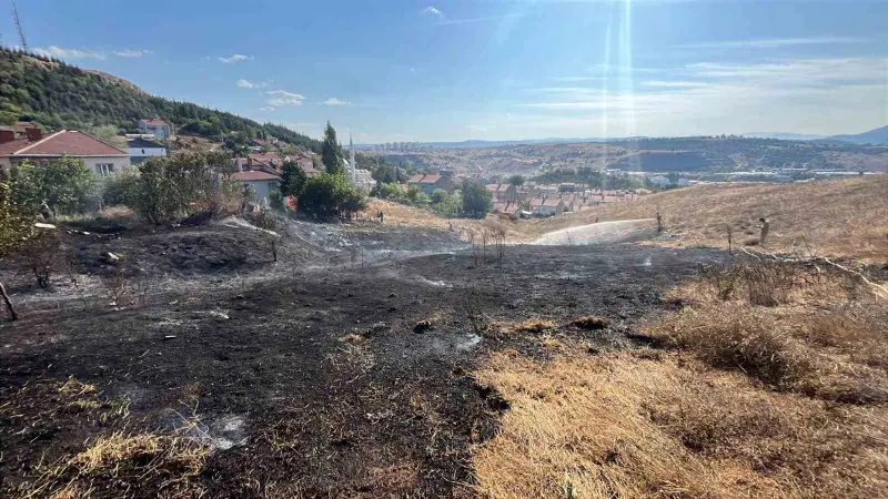 Bozüyük’te otluk yangını