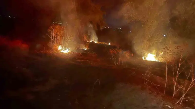 Şuhut’ta arazi yangını korkuttu