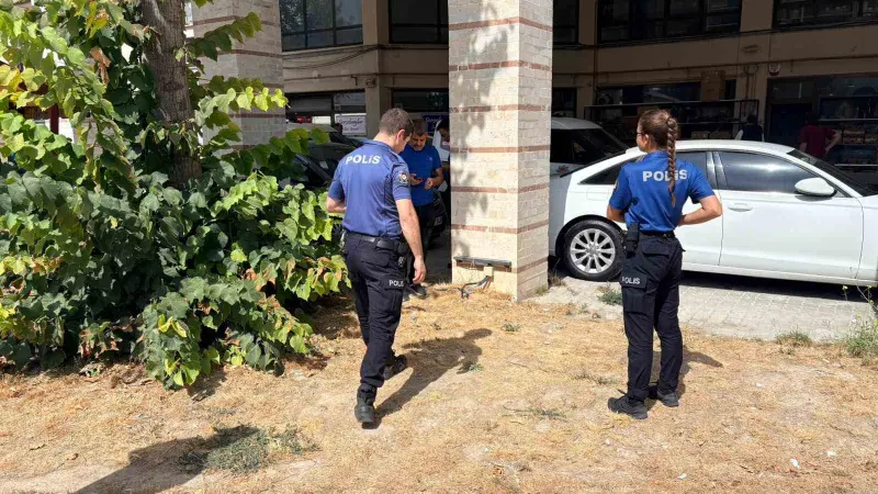 Esnafın beslediği kedi bacakları kesilmiş halde bulundu