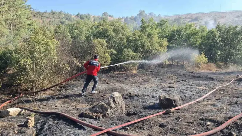 Emet’te dağlık alanda orman yangını