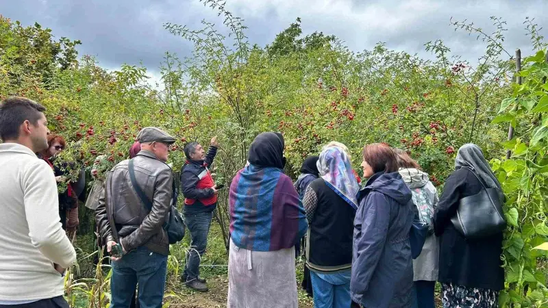 Eskişehirli kadın çiftçiler Kütahya’da üretim alanlarını inceledi