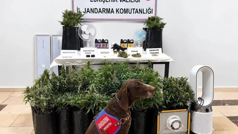 Eskişehir’de 21 poşet kenevir ve çok sayıda uyuşturucu madde jandarma tarafından ele geçirildi